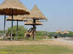 Image13.jpg (55661 byte)
