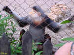 Image2.jpg (78680 byte)