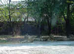 Image5.jpg (79091 byte)