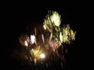 HM2007_7_small.jpg