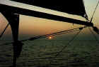 Sol_1111.jpg (50909 byte)